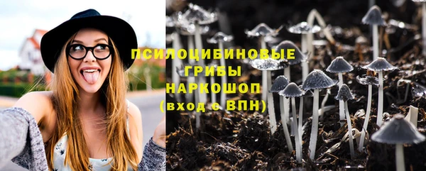 a pvp Кулебаки