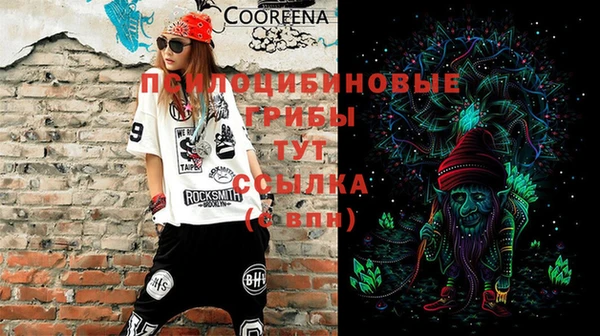 гидра Козельск