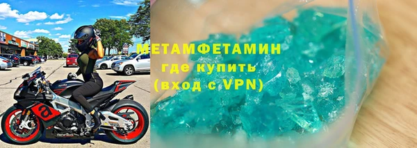 шишки Гатчина